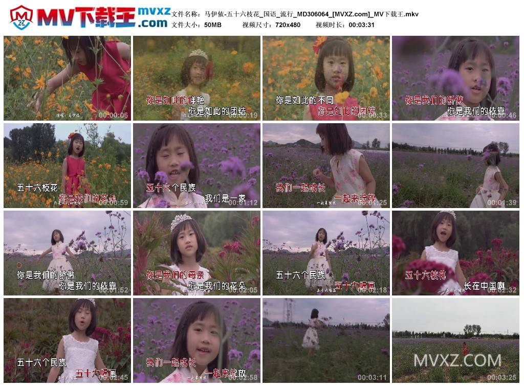 马伊依-五十六枝花_国语_流行_MD306064